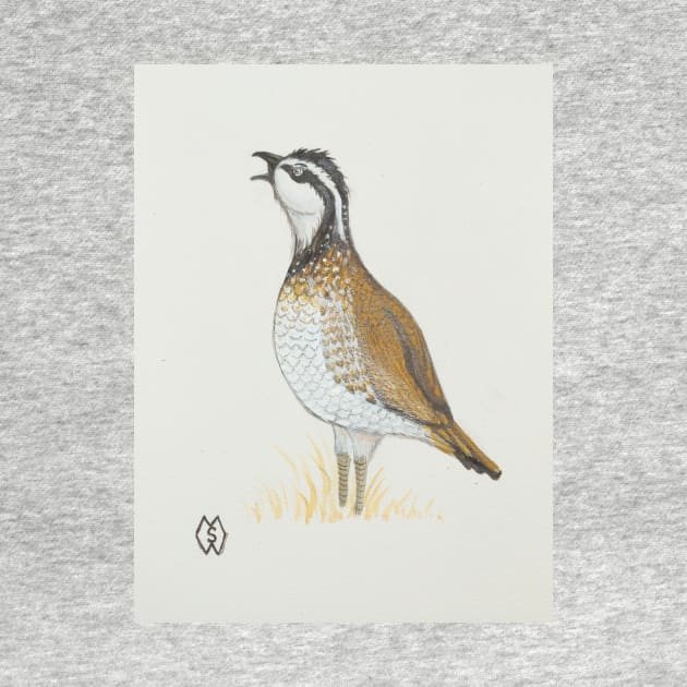 A bobwhite quail whistling a call by Matt Starr Fine Art